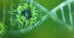 Coronavirus e misure restrittive: il ricorso contro la contravvenzione